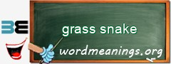 WordMeaning blackboard for grass snake